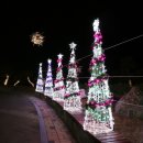 대천해수욕장 만남의 광장 이미지