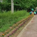 곡교천로 이미지