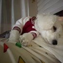 아인스하임 | 👾