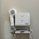 호텔공지천 | [춘천] 공지천 근처 스탠다드룸 주말 숙박 후기 ‘브라운도트호텔 남춘천점’