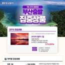 다미투어주