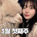 1323 | 3월 첫째주_짧은 백수생활 후기