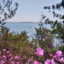 노을그려진바다풍경 이미지