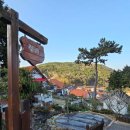 겔베하우스 이미지