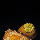 고래치과의원 이미지