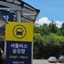 캘리포니아 - 안양시 만안구 와룡로4번길 36 | 경주캘리포니아비치후기 이용꿀팁 준비물