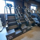 백프로짐 하대원점 이미지