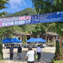 달빛숲속마을 이미지