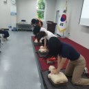 해운대세무서 이미지