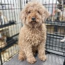 광려천 북로 이미지