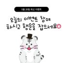 종로-종로-종로-종-168 | 2024.05.20 이벤트 진행중!