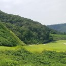 풍일로(풍천면) 이미지