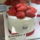 촘초밀 | 김포 풍무동 베이커리 카페 촘초밀 딸기 케이크 강추후기 내돈내산