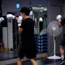 부산챔프복싱클럽 이미지
