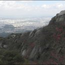 산장광장 이미지