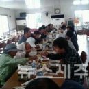 표선면-13 뉴스제주