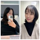 정발산미용실, 디자인바이문 노정민 수석디자이너 단발레이어드 후기 (36주 임산부의 펌 후기)
