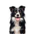 고척산업용품종합상가 이미지