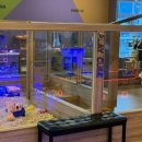 점핑몬스터 지축점 이미지