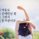 꽃하나에봄 이미지