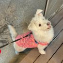 숙희농장 이미지