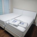 영천팔레스 노동조합 | 대구 금성침대 매트리스 직영점 [ 수성구 메트로팔레스 ] KS 1225 에코드림 그레버티