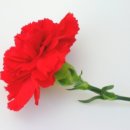 삼경요양병원 이미지