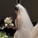 드레스윤 네이버블로그