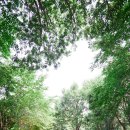 쌍암공원 농구장