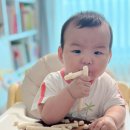 단꿈어린이집 | 아기과자 먹는시기 아기첫과자 비교 9개월 아기간식 올바름