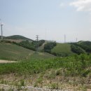 정봉목장 이미지