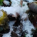 그때그기펜션 이미지