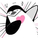 월드 프린트