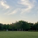 몽마르뜨 이미지