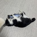 시유편의점