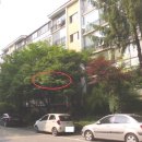 부림동010 이미지