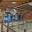 심마니약초삼계탕 이미지