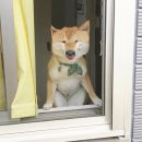 대창횟집 이미지