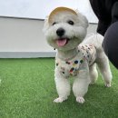 루이야 놀고 자고 GO 이미지