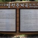 제주이야기 Daum카페