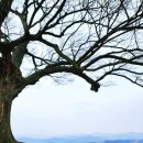 부여(임천)-15 이미지