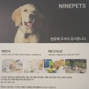 나인페츠 이미지