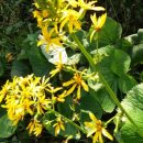 신의한수농장 이미지