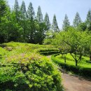 원당근린공원 이미지