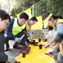 횡단보도옐로카펫 이미지