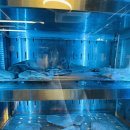 곡성기차마을영농조합 | 곡성 기차마을 맛집 화로담 불고기정식 아이랑 가기 좋은 가족 외식 후기