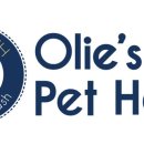 올리스 펫 호텔 이미지