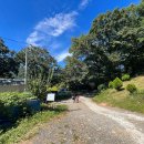 가랑잎새 이미지