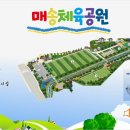 매송체육공원 족구장 이미지
