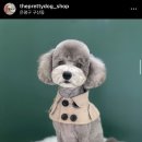 오늘도 이쁘개 이미지